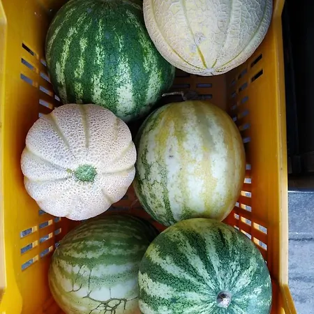 彭特罗萨农场酒店