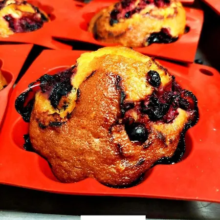 彭特罗萨农场酒店