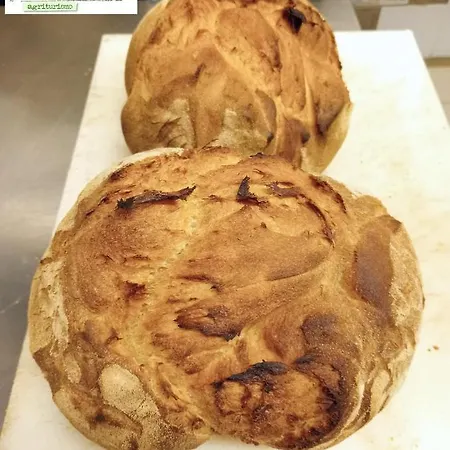 彭特罗萨农场酒店 农家乐