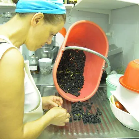 彭特罗萨农场酒店 农家乐 Morrovalle