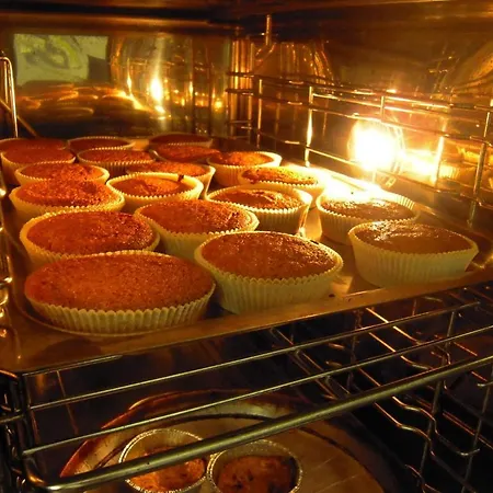 彭特罗萨农场酒店 *