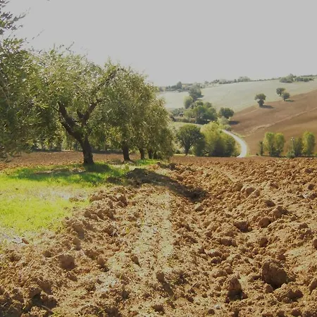 彭特罗萨农场酒店 农家乐 Morrovalle