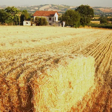 农家乐 彭特罗萨农场酒店 *