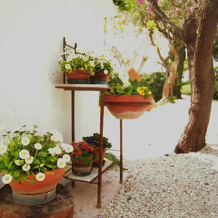 彭特罗萨农场酒店